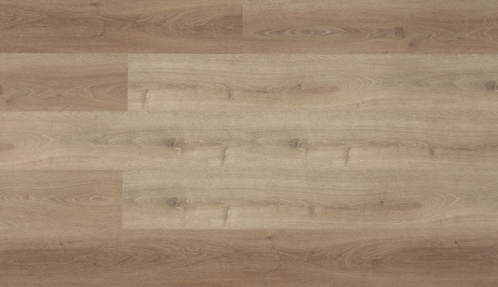 Himalaya Collection - Alisan