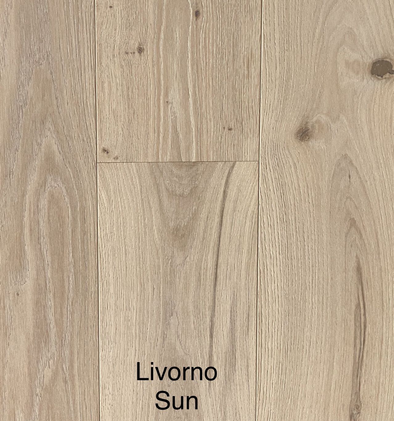 The Samaritaine Collection - Livorno Sun